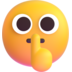 :shushing_face: