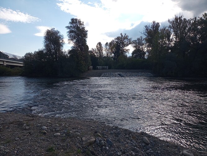 IMG_20251002_102350_347