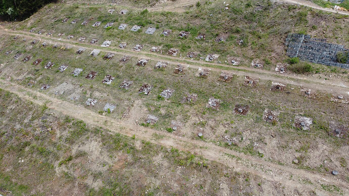 DJI_0408