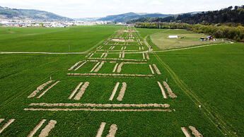 DJI_0281